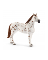 Schleich Horse Club Lisas Tournament Train. - 42433 - nr 12