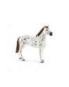 Schleich Horse Club Lisas Tournament Train. - 42433 - nr 18