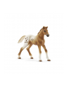 Schleich Horse Club Lisas Tournament Train. - 42433 - nr 19