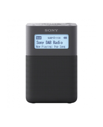 Sony XDR-V20DH grey DAB+