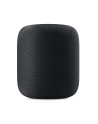 Apple Homepod - Bluetooth, WLAN, AirPlay - MQHW2D/A - nr 11