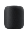 Apple Homepod - Bluetooth, WLAN, AirPlay - MQHW2D/A - nr 23