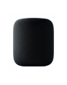 Apple Homepod - Bluetooth, WLAN, AirPlay - MQHW2D/A - nr 25