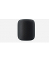 Apple Homepod - Bluetooth, WLAN, AirPlay - MQHW2D/A - nr 28