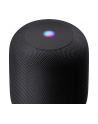 Apple Homepod - Bluetooth, WLAN, AirPlay - MQHW2D/A - nr 2