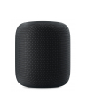 Apple Homepod - Bluetooth, WLAN, AirPlay - MQHW2D/A - nr 33