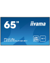 iiyama LE6540UHS-B1, Public Display - nr 15