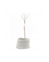 Kabel SFTP KAT 5e LINKA AWG24 305m szary - nr 16