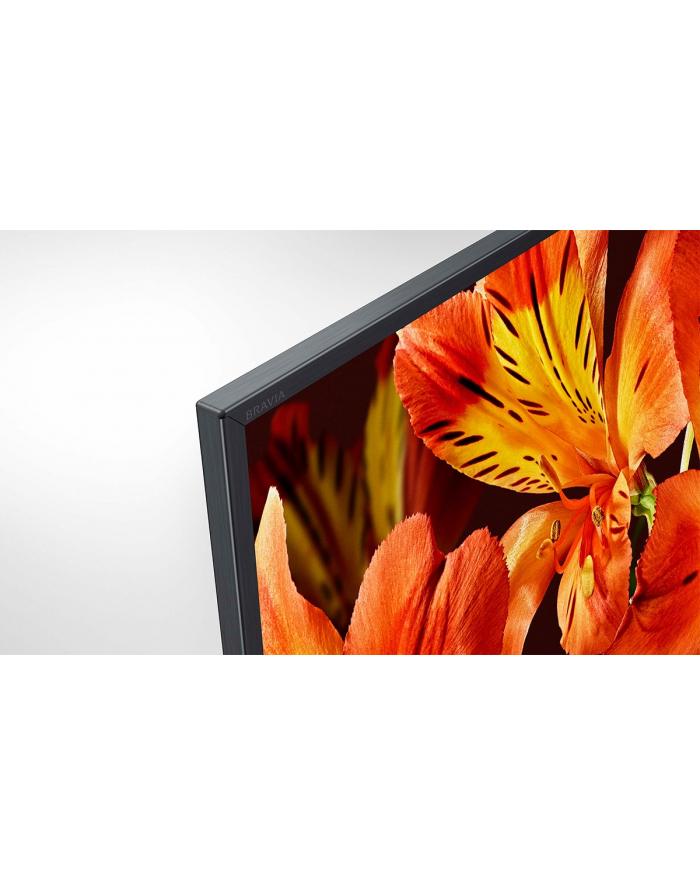 Sony Bravia FW-49BZ35F 4K HDR Professional BRAVIA główny