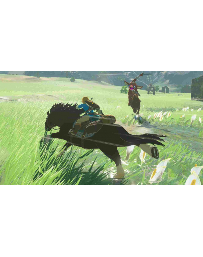 nintendo Legend of Zelda: Breath of the Wild (Switch) główny
