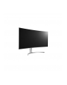 LG Monitor LCD 38WK95C-W 38'', 3840 x 1600, IPS,  HDMI, DP, USB - nr 24