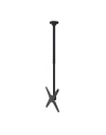 newstar Uchwyt uchylno-obrotowy sufitowy 32-75 FPMA-C340BLACK - nr 41