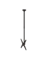 newstar Uchwyt uchylno-obrotowy sufitowy 32-75 FPMA-C340BLACK - nr 45