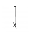 newstar Uchwyt uchylno-obrotowy sufitowy 32-75 FPMA-C340BLACK - nr 4