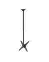 newstar Uchwyt uchylno-obrotowy sufitowy 32-75 FPMA-C340BLACK - nr 64