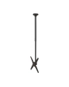 newstar Uchwyt uchylno-obrotowy sufitowy 32-75 FPMA-C340BLACK - nr 77