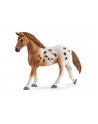 schleich SLH 42433 Zestaw treningowy koń Appaloosa - nr 10