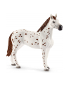 schleich SLH 42433 Zestaw treningowy koń Appaloosa - nr 5