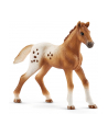 schleich SLH 42433 Zestaw treningowy koń Appaloosa - nr 6