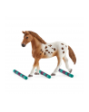 schleich SLH 42433 Zestaw treningowy koń Appaloosa - nr 8