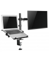newstar Uchwyt biurkowy na monitor i laptop FPMA-D550NOTEBOOK - nr 48