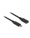 Delock przedłużacz USB Typ-C AM-AF;  1,0m, czarny - nr 13