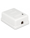 Delock gniazdo natynkowe podwójne 1x RJ45 kat. 6; LSA - nr 6