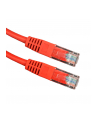 ESPERANZA EB272R KABEL UTP CAT 5E PATCHCORD 0,5M - CZERWONY - nr 1