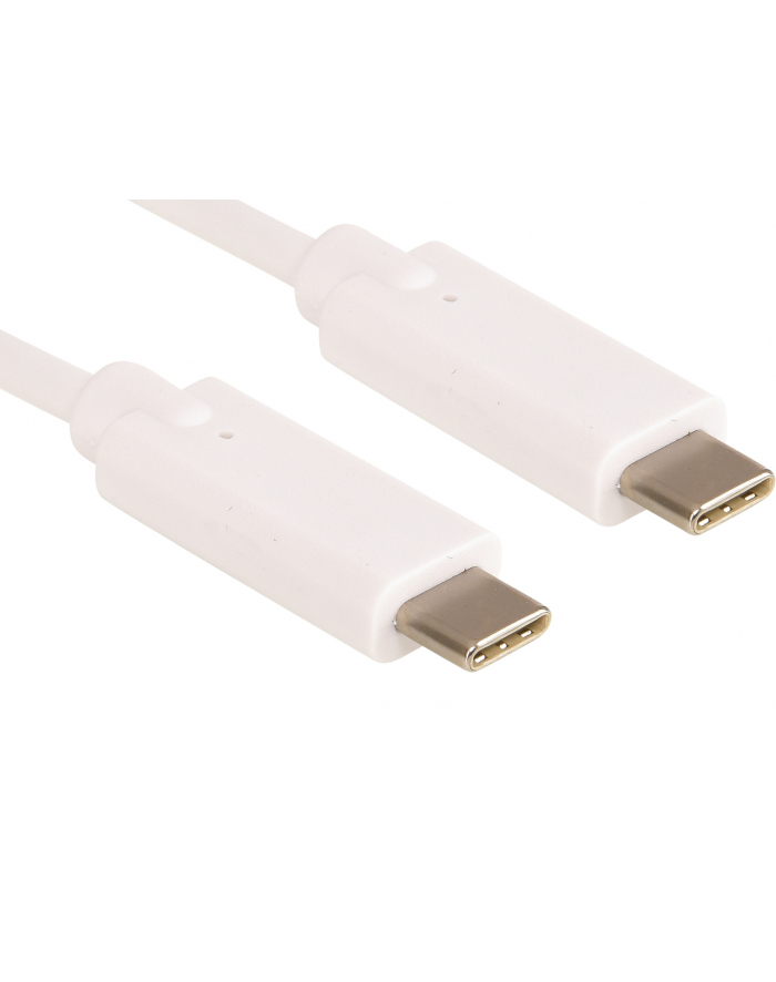Sandberg Kabel ładujący USB-C 1M, 100 W główny