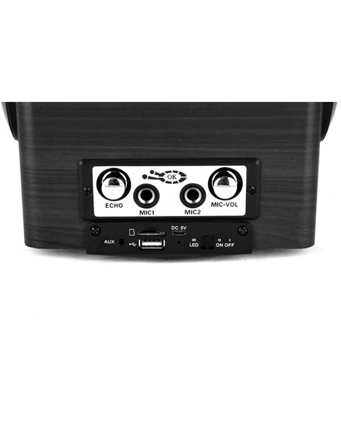 media-tech BOOMBOX PRO BT - portable bluetooth active speaker with karaoke feature główny