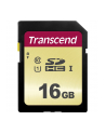 Transcend karta pamięci SDHC 16GB Class 10 ( 95MB/s ) - nr 12