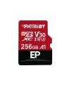 Patriot EP Series 256GB MICRO SDXC V30, up to 100MB/s - nr 12