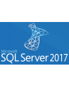 SQLCAL 2017 SNGL OLP NL UsrCAL - nr 10