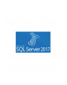 SQLCAL 2017 SNGL OLP NL UsrCAL - nr 6