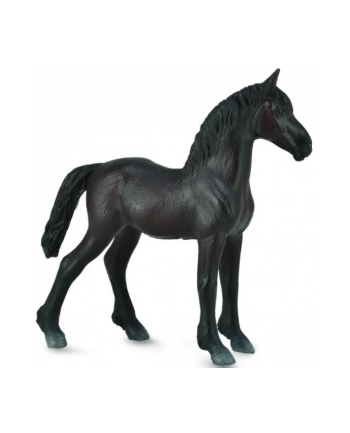 collecta Źrebię Friesian foal czarne 88815