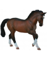 collecta Ogier warmblood stallion bay 88827 - nr 1