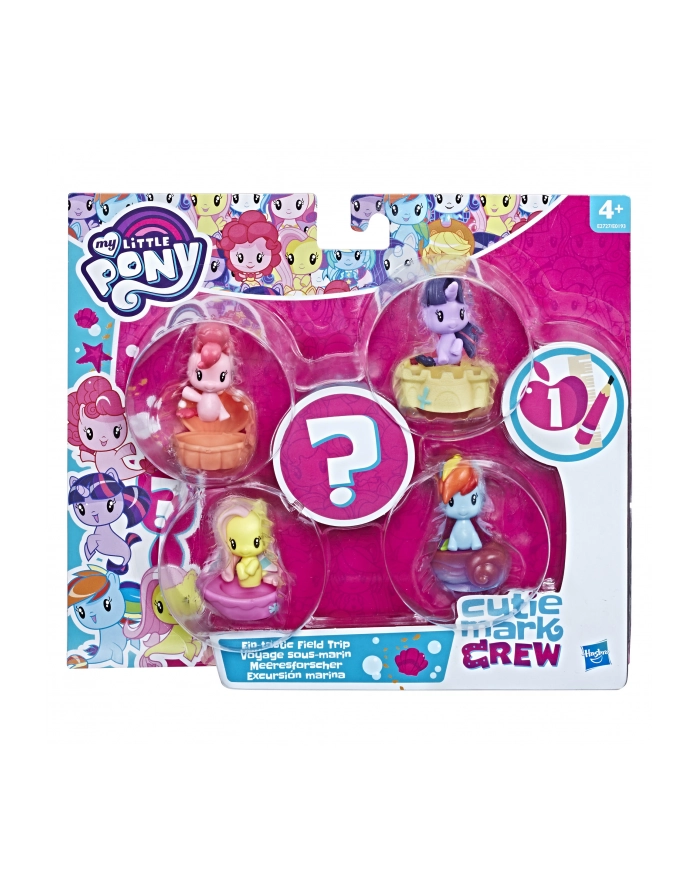 hasbro MLP zestawy zwierzaków do kolekcjonowania E0193 /4 główny