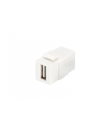 Moduł Keystone USB 2.0, łącznik do gniazd i pustych paneli, żeński/żeński, biały