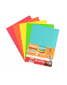 polsirhurt Papier Office color A4/100-5 standard mix - nr 1