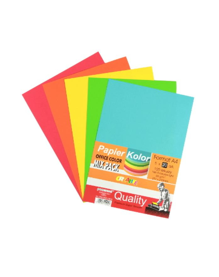 polsirhurt Papier Office color A4/100-5 standard mix główny