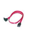 assmann Kabel połączeniowy Serial ATA Typ SATA (7pin) kątowy/SATA (7pin) Ż/Ż czerwony 0,5m - nr 1