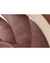 Noctua NF-A12x25 5V PWM - nr 67