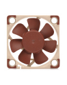 Noctua NF-A4x10 PWM - nr 22