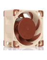 Noctua NF-A4x20 5V - nr 10