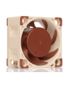 Noctua NF-A4x20 5V - nr 25