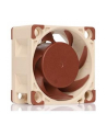 Noctua NF-A4x20 5V - nr 1