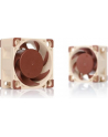 Noctua NF-A4x20 5V PWM - nr 41
