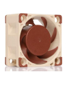 Noctua NF-A4x20 5V PWM - nr 10