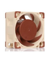Noctua NF-A4x20 5V PWM - nr 1