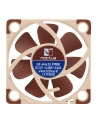 Noctua NF-A4x10 PWM - nr 44